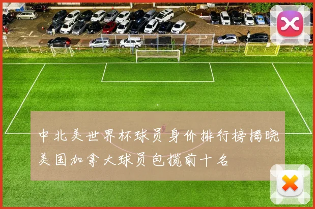 中北美世界杯球员身价排行榜揭晓美国加拿大球员包揽前十名