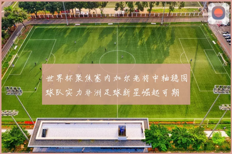 世界杯聚焦塞内加尔老将中轴稳固球队实力非洲足球新星崛起可期
